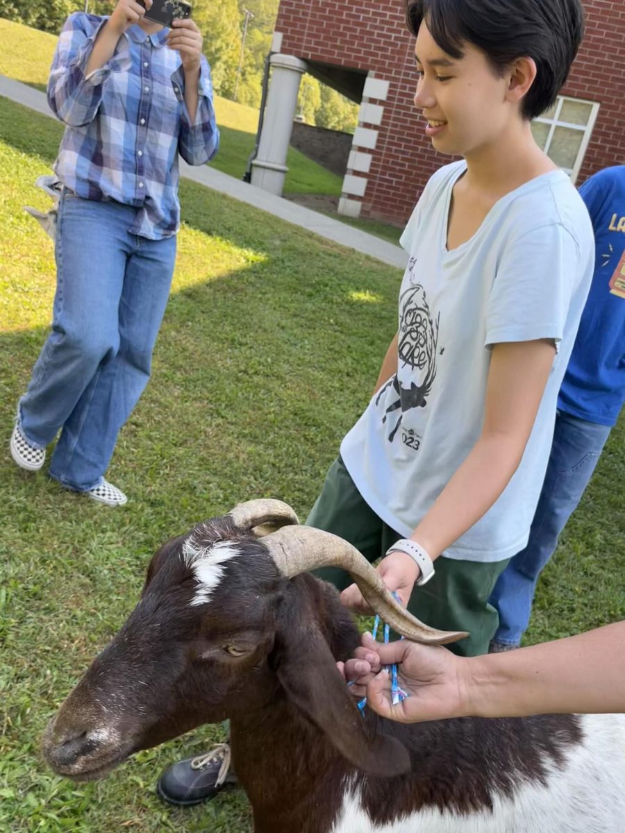 Junior Sofia Kelly along with the rest of the 
Habitat Revival Club welcome goats to campus as the next big step in their plan