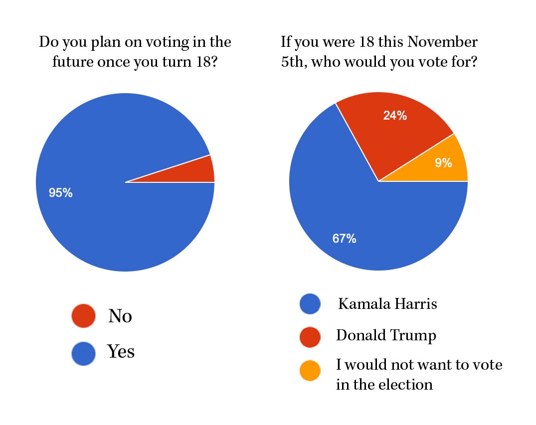 Students Divided in Voting Survey