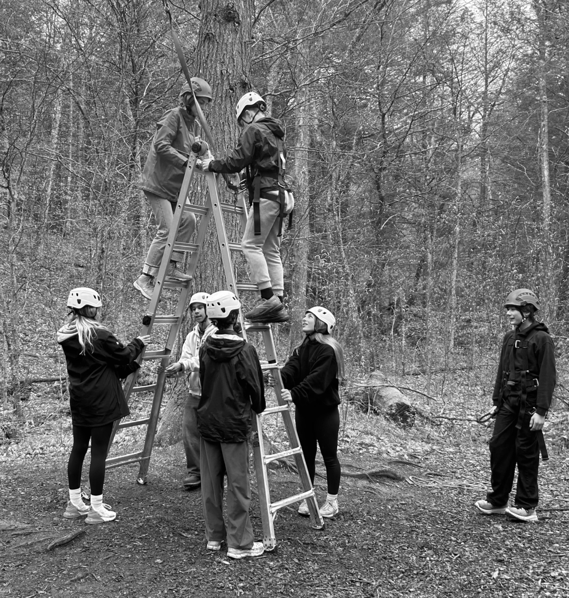 Eighth graders take the "Leap of faith" at the Frost Valley YMCA trip which took place from May 13-15, 2026. This trip is an annual, overnight outdoor education and team bonding experience for Haldane's eighth grade class.